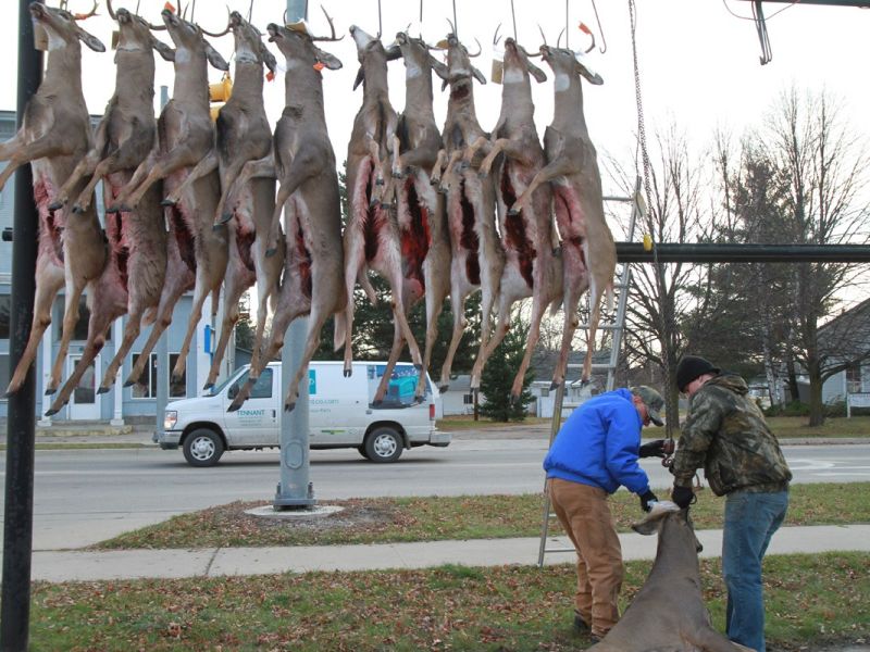 20121115 58th annual mancelona buck pole 2012