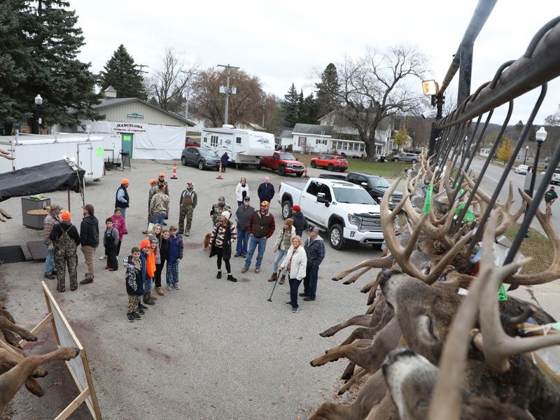 20241116 70th buck pole